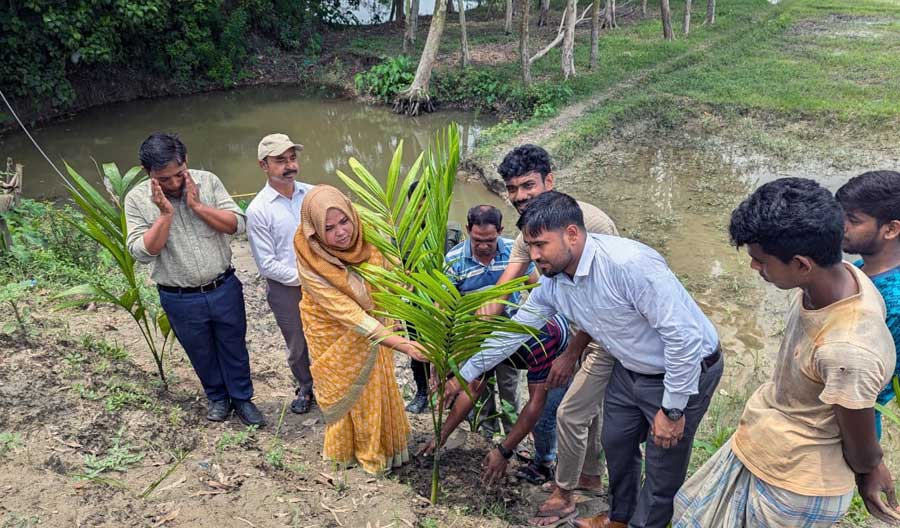 বৃক্ষরোপণ কর্মসূচি পালন